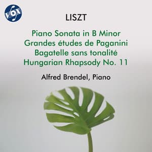 Liszt: Piano Works - Franz Liszt