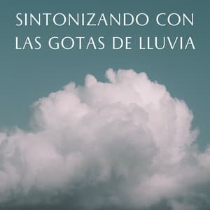 Sintonizando Con Las Gotas De Lluvia - Sonidos de lluvia tranquila