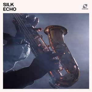 Silk Echo: Soft Jazz Music - Jazz Music Collection