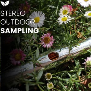 Elemental Soundscapes High Res Outdoor Recording - rainstantly