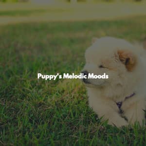 Puppy's Melodic Moods - Soulful Jazz Coffee House