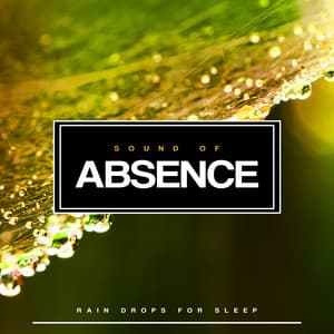Sound of Absence - Rain Drops for Sleep