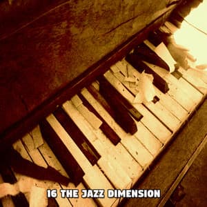16 The Jazz Dimension - Lounge Café