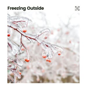 Freezing Outside - Rainforest Ambience