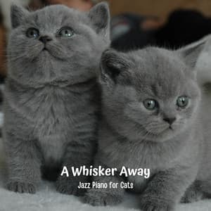 A Whisker Away: Jazz Piano for Cats - New York Cafe Playlist