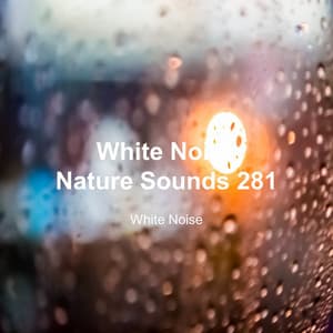 White Noise 281 - White Noise