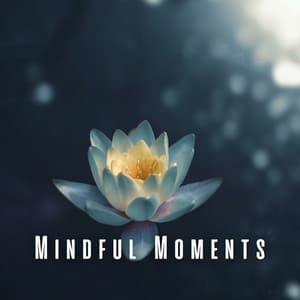 Mindful Moments: Ambient Music and Deep Meditation - The Meditation Verve
