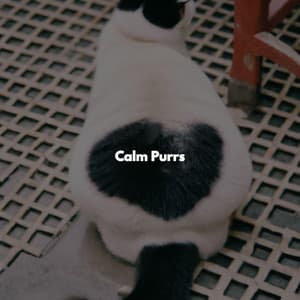 Calm Purrs - French Cafe Jazz Vibes