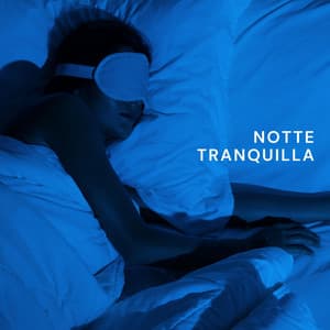Notte Tranquilla - Zona di luna fasi musica