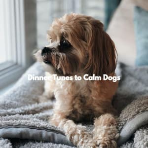 Dinner Tunes to Calm Dogs - Dog Separation Anxiety Music