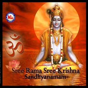 Sree Rama Sree Krishna Sandhyanamam - N R Mini