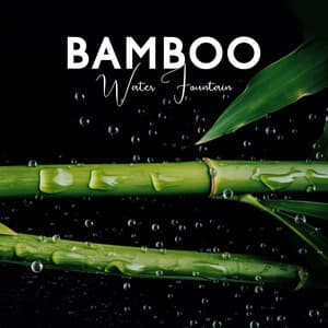 Bamboo Water Fountain: Healing Zen Music with Soothing Flowing Water Sound for Deep Relaxation, Zen Ambience for Sleep & Meditation - Patrick Keys