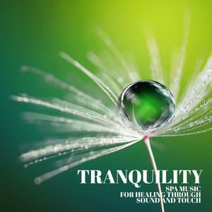 Tranquility Spa Music for Healing Through Sound and Touch - Relaxing Music for Stress Relief, Zen Therapy and Calm Music for Meditation, Sleep, Relax - Meditation Music Artists