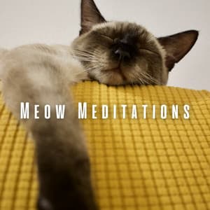 Meow Meditations: Tranquil Pink Noise for Serene Cats - Natsound