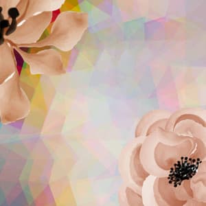 Jazz Organ and Bossa Guitar Trio - New York Steakhouse Jazz