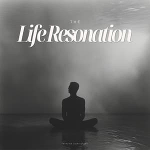 The Life Resonation - Regen Sounds