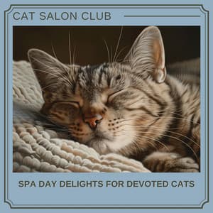 Spa Day Delights for Devoted Cats - Cat Salon Club