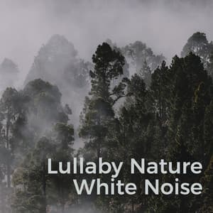 Lullaby Nature White Noise - Awesome Life Nature Sounds