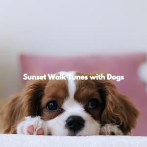 Sunset Walk Tunes with Dogs - Soft Jazz Radio