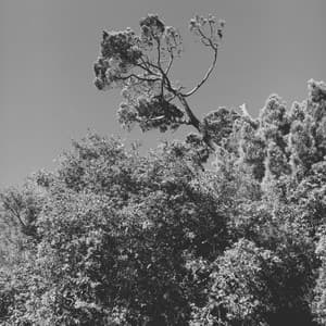 Sensational Ambiance for Taking Notes - Happy Playlisted Music