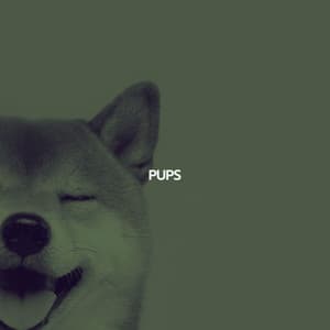 PUPS - Jazz Music Cafe