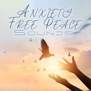 Anxiety Free Peace Sounds - Sound Effects Zone