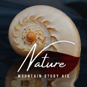 Mountain Study Aid: Altitude Ambiance - Study Power