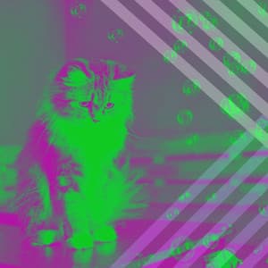Bubbly Quartet Jazz - Background for Lush Kittens - Calm Music for Cats