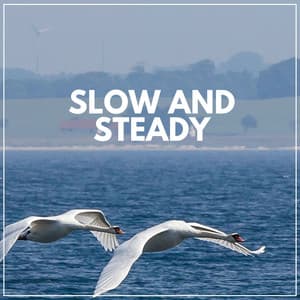 Slow and Steady - Calming Sounds