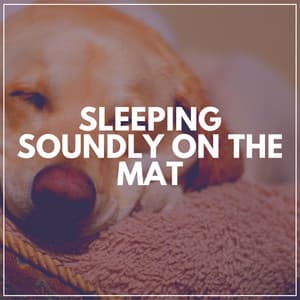 Sleeping Soundly on the Mat - Music for Calming Dogs