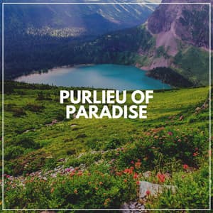 Purlieu of Paradise - Mother Nature Soundscapes