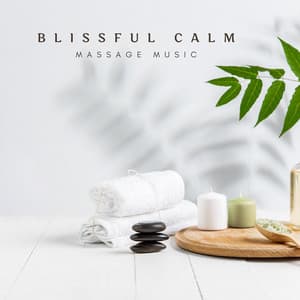Blissful Calm: Soothing Massage Music - Massage Music
