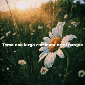Toma una larga caminata en el parque - Indie Study Music Classics