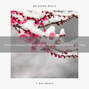 Christmas Holidays in the Woods with Classics and Pure Nature for Sleep - Nature Sounds