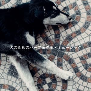 犬のためのパーフェクト・ミュージック - Smooth Dinner Jazz Group