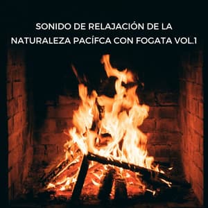 Sonido De Relajación De La Naturaleza Pacífica Con Fogata Vol. 1 - Sonidos De Fuego