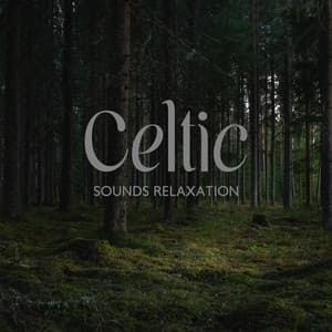 Celtic Sounds Relaxation - Serenity Music Zone