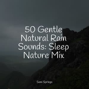 50 Gentle Natural Rain Sounds: Sleep Nature Mix - Reiki Tribe