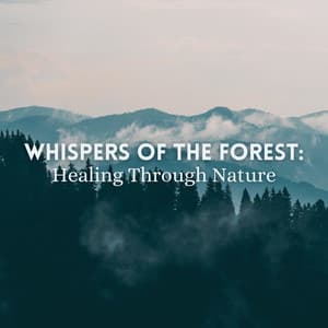 Whispers of The Forest: Healing Through Nature - Nature Calm