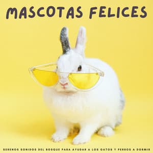 Mascotas Felices: Serenos Sonidos Del Bosque Para Ayudar A Los Gatos Y Perros A Dormir - Registradores de campo al aire libre