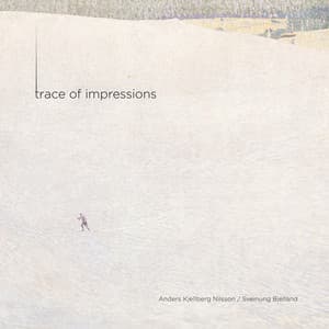 Trace of Impressions - Anders Kjellberg Nilsson
