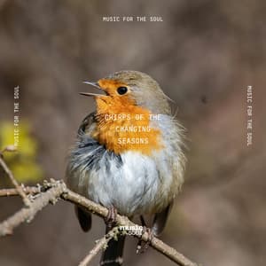 Chirps of the Changing Seasons - Chalquira