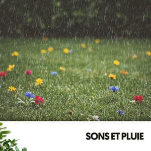 Sons et Pluie : Chant sous la Pluie - Cat Music Therapy