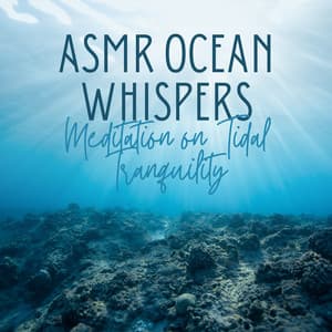 ASMR Ocean Whispers: Meditation on Tidal Tranquility - Oceans and Oceans