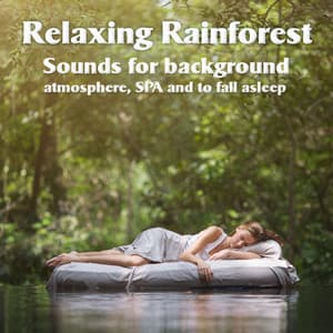 Relaxing Rainforest - Sounds for background atmosphere, SPA and to fall asleep - Forest Sounds