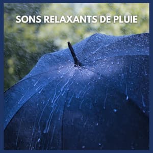Sons relaxants de pluie - Sons De Pluie