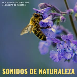 Sonidos De Naturaleza: El Aura De Bebé Renovada Y Melodías De Insectos - Academia de sonidos de la naturaleza