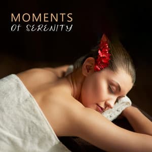 Moments of Serenity: Relaxing and Soothing Zone for Spa, Wellness, Well-being - Total Relax Music Ambient