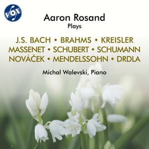 J.S. Bach, Brahms & Others: Works for Violin & Piano - Aaron Rosand