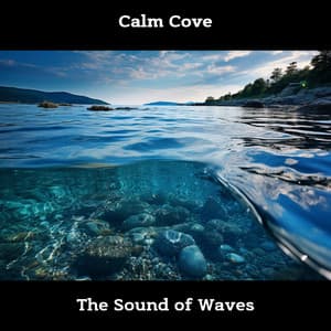 Calm Cove: The Sound of Waves - ASMR Ocean Waves